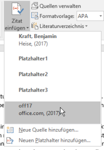2017-06-26 10_06_51-Quellen, Quellenangaben und Literaturverzeichnisse - Word
